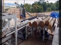 O rasgo redondo da madeira dos logs viu a auto máquina da serra do rasgo do Woodworking do inversor