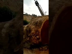 Máquina de corte transversal de troncos grandes serradora de troncos