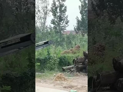 Máquina de remoção de casca de árvores/descascador de troncos de madeira