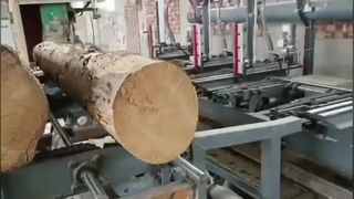 Serraria de fita vertical com transporte hidráulico de toras - pega pneumática para toras