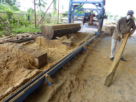 6meters Log Cutting Double Blades Angle Circular Saw sawmill Machines with electric inverter