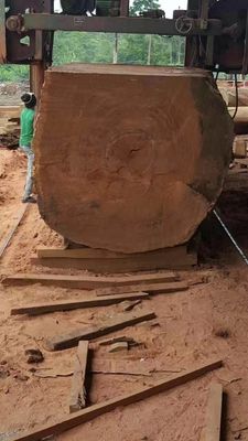 Venda de fábrica de baixo custo Máquina automática de serra de banda Máquinas de serra de banda horizontal para troncos de grande diâmetro